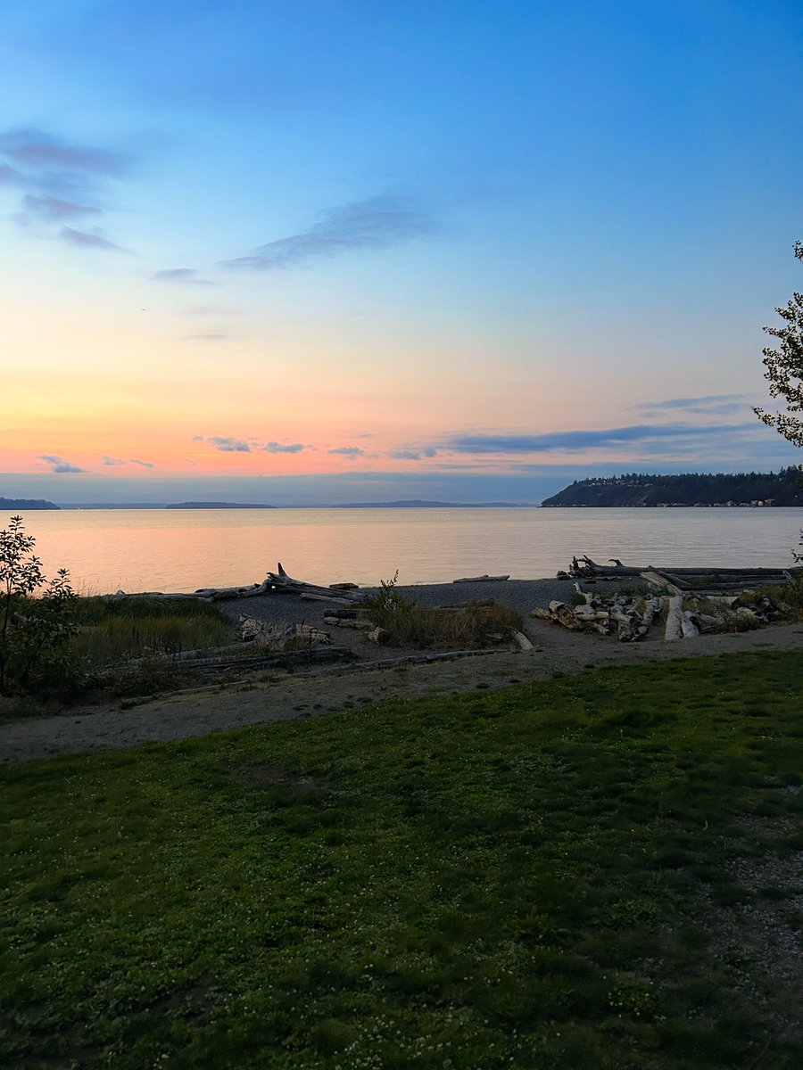 liliesarrayed's tweet image. 