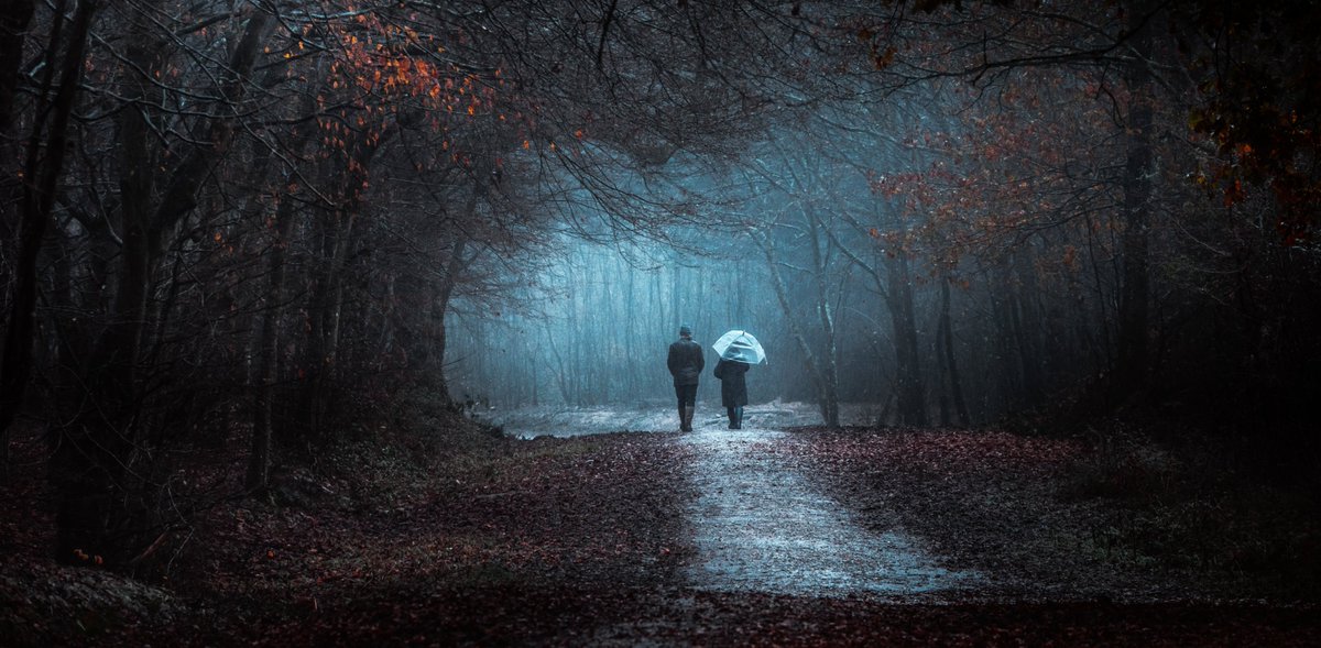 EddAllenPhoto's tweet photo. 'Neon Rain'

One from a wet walk in a local woodland. @ShimodaDesigns @BenroTripods https://t.co/WfYNNPgoUc