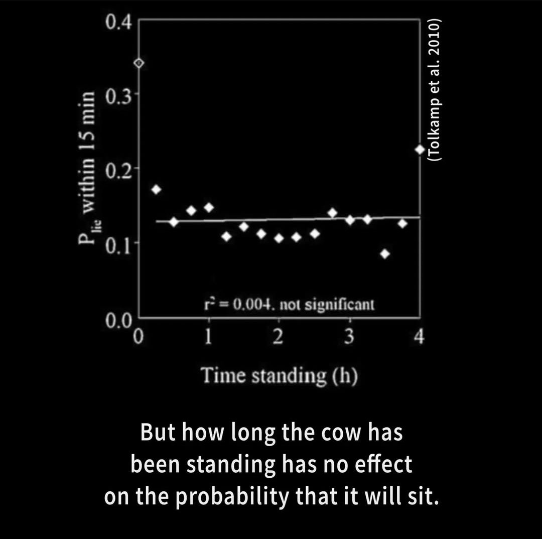 Sauers (in Berkeley / SF) tweet media
