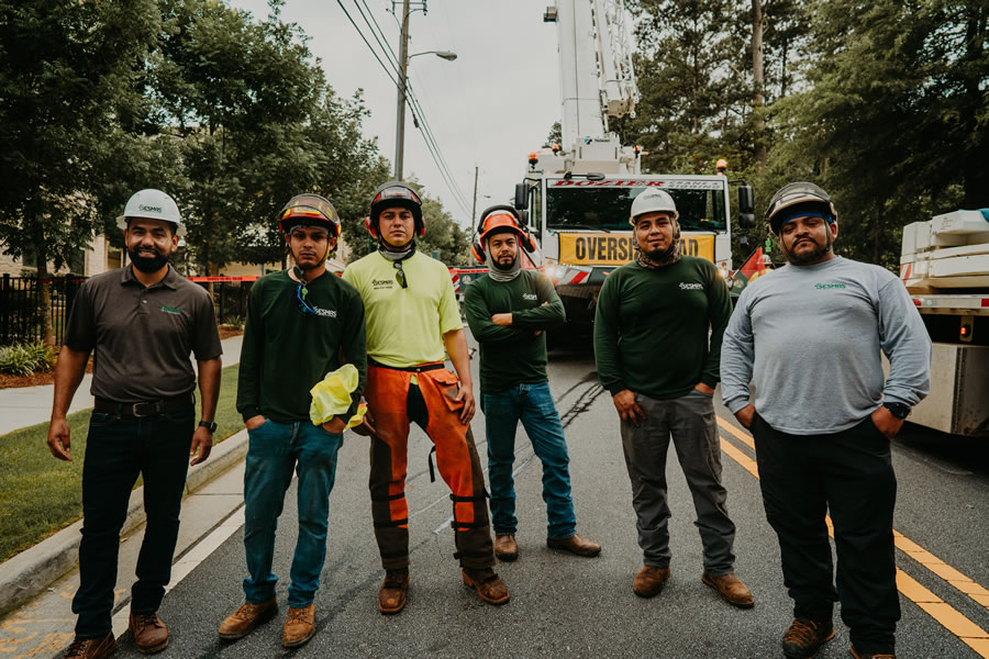 SesmasTree's tweet image. Tree Service in Winder, GA

If a severely damaged tree is left unattended, it can compromise your loved one&apos;s safety and those living nearby. Sesmas Tree Service can inspect, diagnose, and address the problem to eliminate safety hazards without ...

sesmastreeservice.com/tree-removal-s…