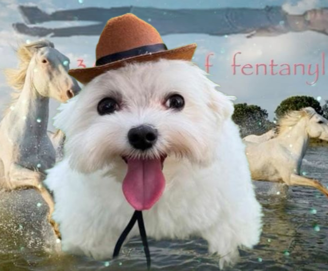 jackosob's tweet image. this image came to me a in a dre- oh oh my god .. oh my god no dude .. dude seriously i don't .. oh my god .. get .. get out of here why are you here again .. oh my .. oh my god .. oh my god what the .. oh my god your hideous