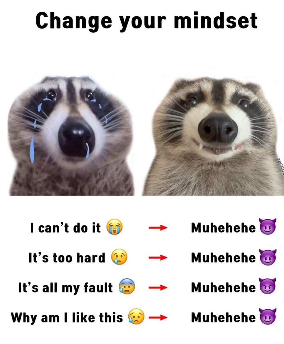 Respectful Memes tweet media