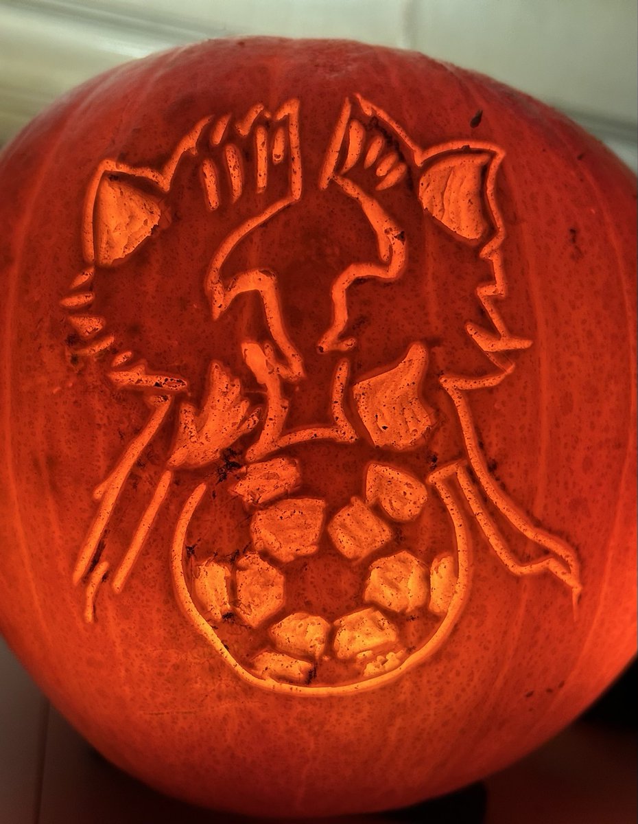 Notoriousgee's tweet photo. Our result was better than my effort but not bad #notts https://t.co/sE4BajDTEA
