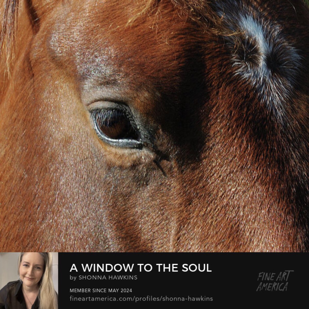 shonna99784's tweet image. Art on #FineArtAmerica! 
A Window to The Soul

fineartamerica.com/featured/a-win…

#HorsesEye #Eyelashes #Sunlight #Newmarket #Hwy400 #Hwy9 #Barn #ShonnaHawkinsPhotography #WallArt #WallDecor #HomeDecor #ToteBags #Canvas #Metal #AcrylicArt #GiftIdeas #BuyIntoArt #Prints