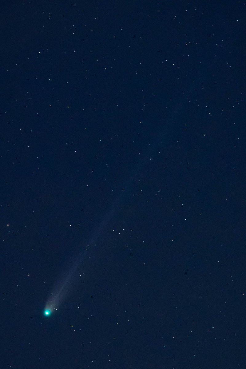 nelosm84's tweet image. C/2025 A6 (Lemmon), un viajero cósmico inmortalizado desde Canals ☄️📸. 

#c2025a6 #c2025a6lemmon #lemmon #comet #cometa #cielosesa #astrophotography
