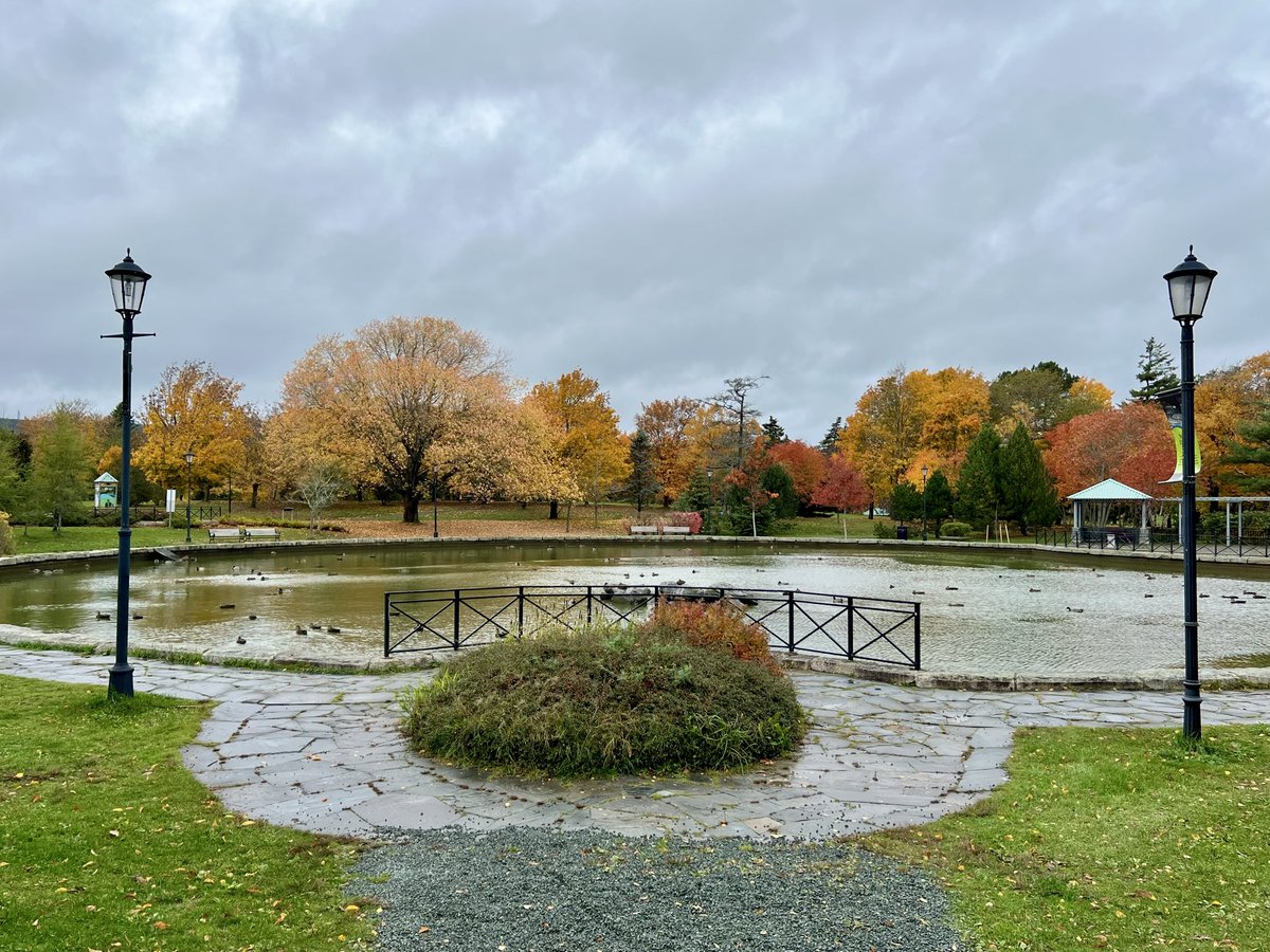 kevinjguest's tweet image. Bowring Park! @BowringPark #fall