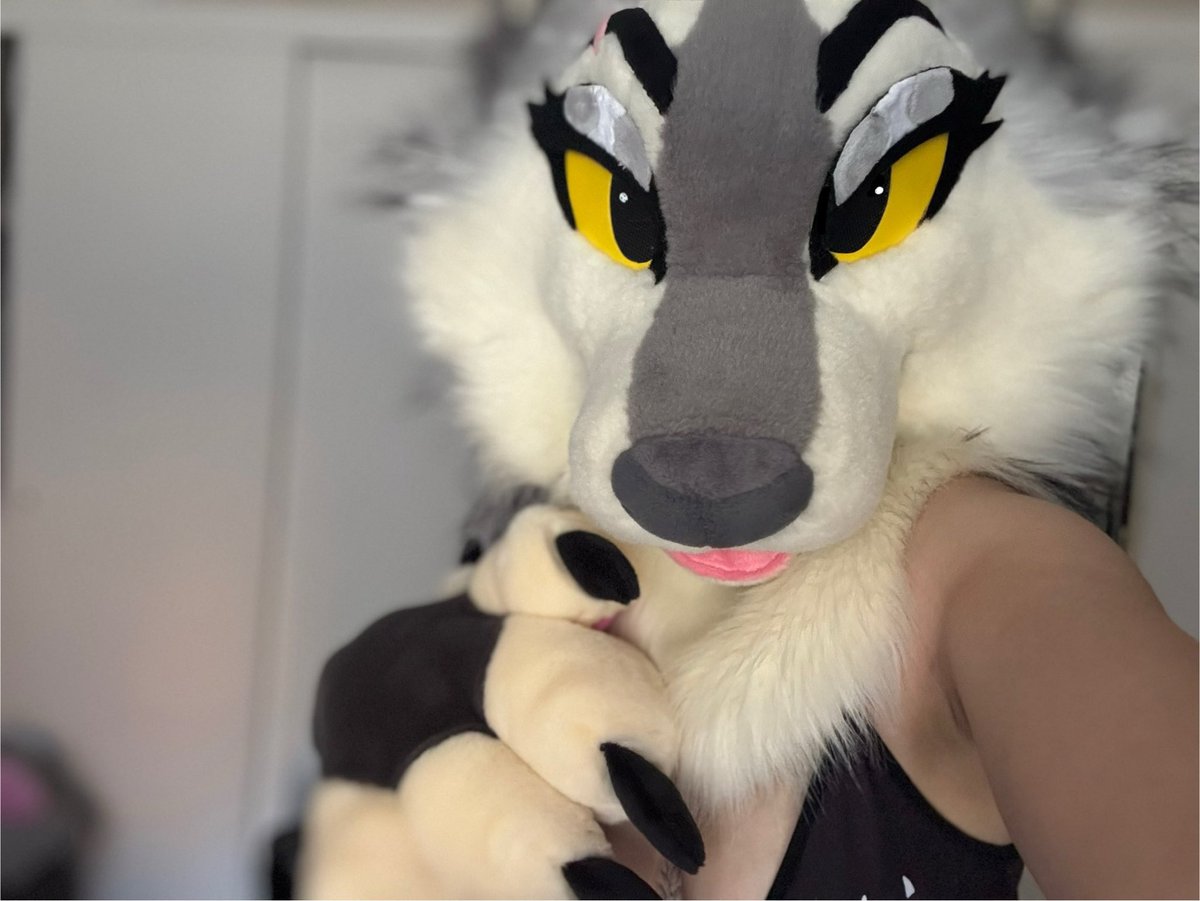 Got some new paws that my friend made me 😊
Pictures showing them off fully soon 💖