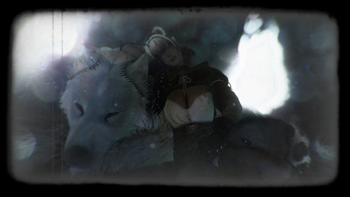 ᴵᵗ ⁱˢ ᵐᵃᵈⁿᵉˢˢ ᶠᵒʳ ˢʰᵉᵉᵖ ᵗᵒ ᵗᵃˡᵏ ᵖᵉᵃᶜᵉ ʷⁱᵗʰ ᵃ ʷᵒˡᶠ