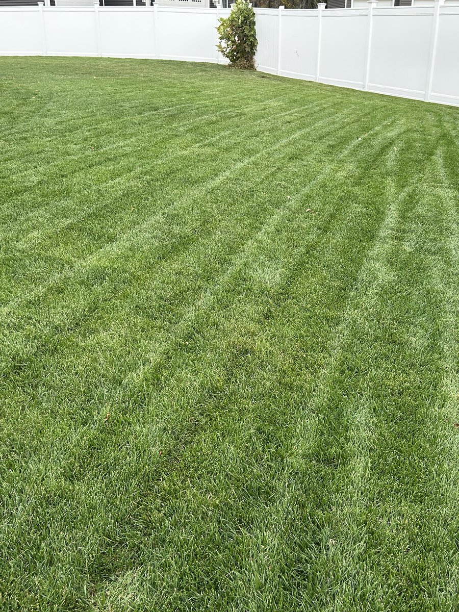 I have an idiotic idea to build a (real) golf green in my backyard. 

Great sunlight, great turf conditions. 

My uncle is a retired super. I tried to have him talk me out of it. But it didn't take. 

I'm dreaming of 13 on the stimp. 

Pretty sure I am going to let it rip.