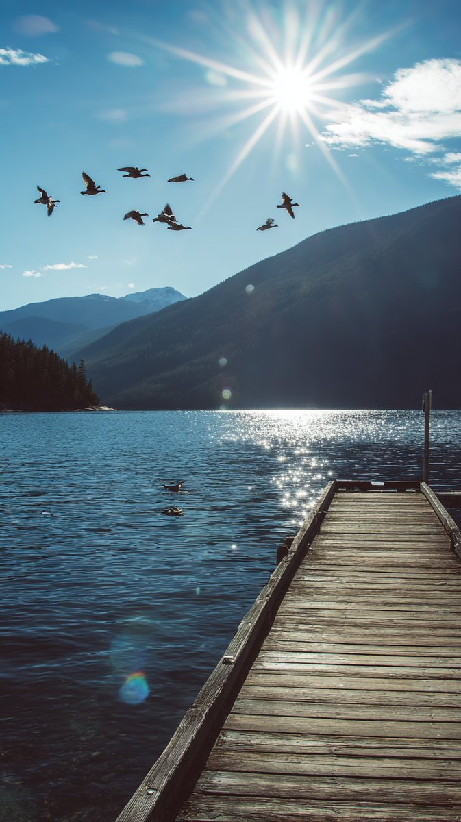 SasquatchSnooze's tweet image. “The mountains don’t hurry.
The lake doesn’t judge.
The sun just shows up — and that’s enough.” ☀️💭

#SasquatchSnooze #AdventureSpirit #WanderFree #MountainLife #NaturePhotography #StayOutside #WildHeart #FindYourPeace