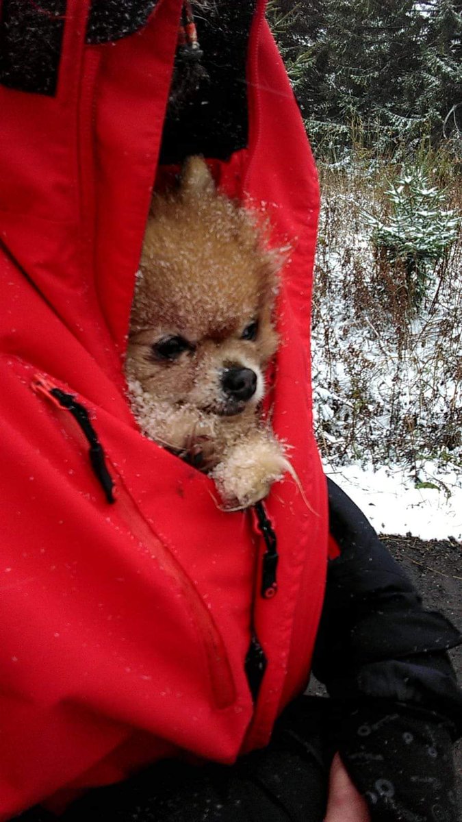 Blíží se den kdy moje milovaná hraběnka odešla tam nahoru. Srala mě moc a já sral jí 🙄 nečum tam zezhora pindo.