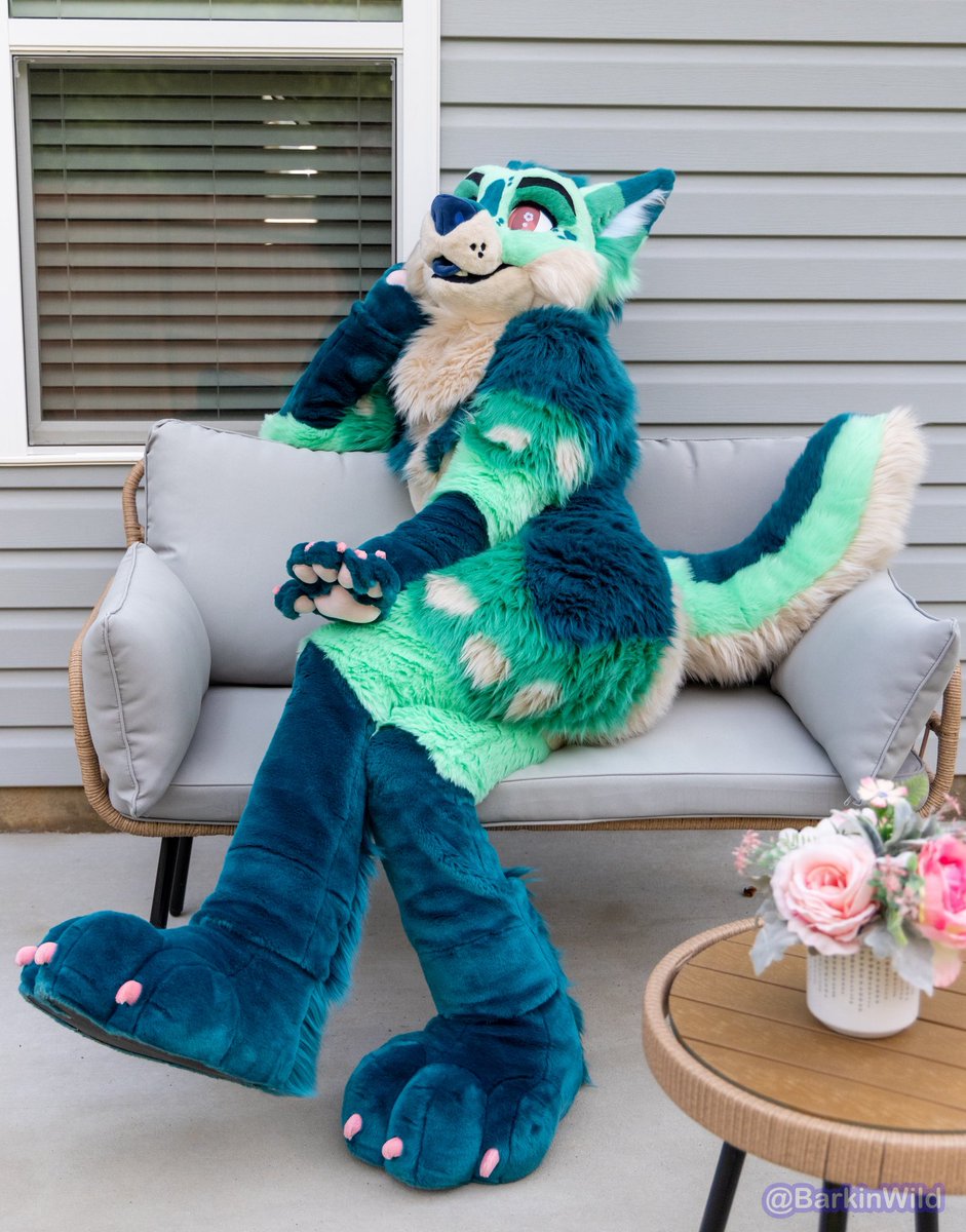 itsSIGNAL's tweet image. Well okay, so this one time, well..you just would not believe it..

📸 @BarkinWild