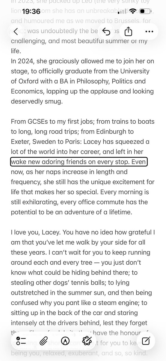 Kelsey Trevett (they/them) tweet media