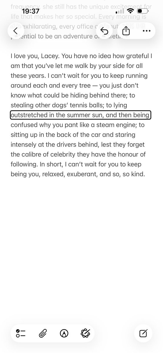 Kelsey Trevett (they/them) tweet media