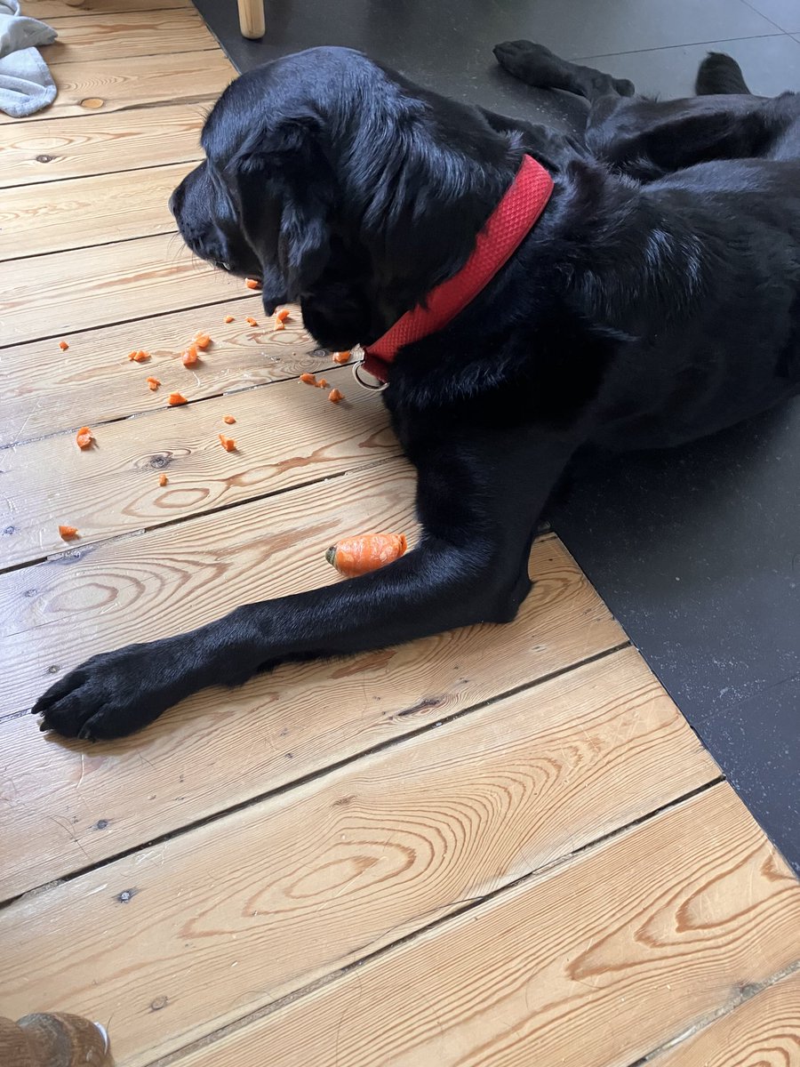 Kelsey Trevett (they/them) tweet media