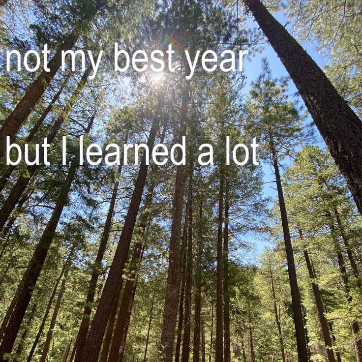 Fuck Every 𝕏 Account (@fukeveryaccount) on Twitter photo 