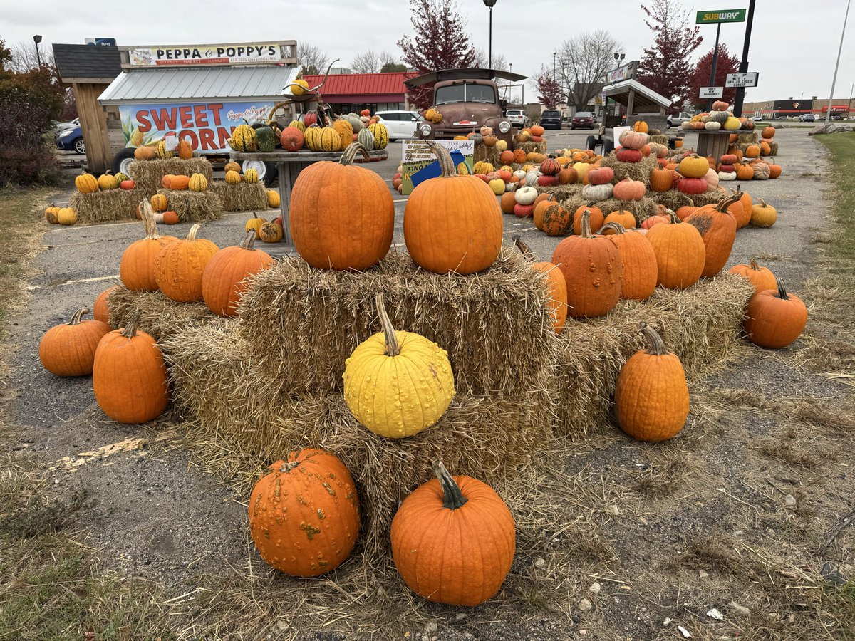 It’s very Autumn in Alexandria, MN today: