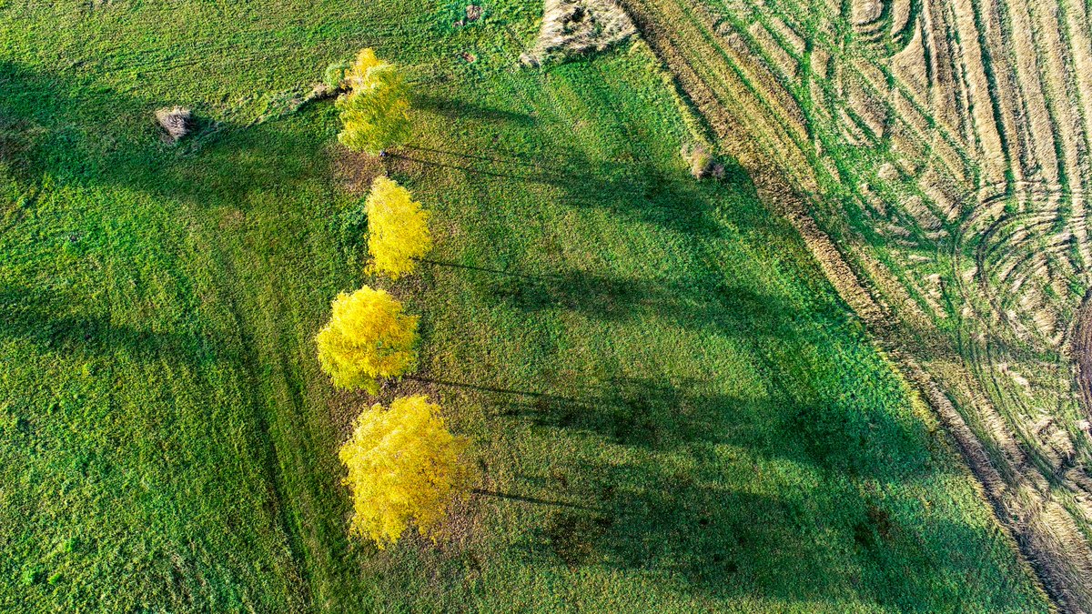 #Autumn #DronePhotography #Czechia