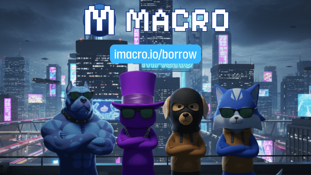 Recursive leverage with Macro

This is how you can use <a href="/MorphoLabs/">Morpho 🦋</a> markets to leverage into your conviction plays like $TOSHI and $WMTx

The process: deposit your top @Base assets, borrow at 50% LTV

Redeposit what you bought with the borrowed funds, borrow again. Each cycle