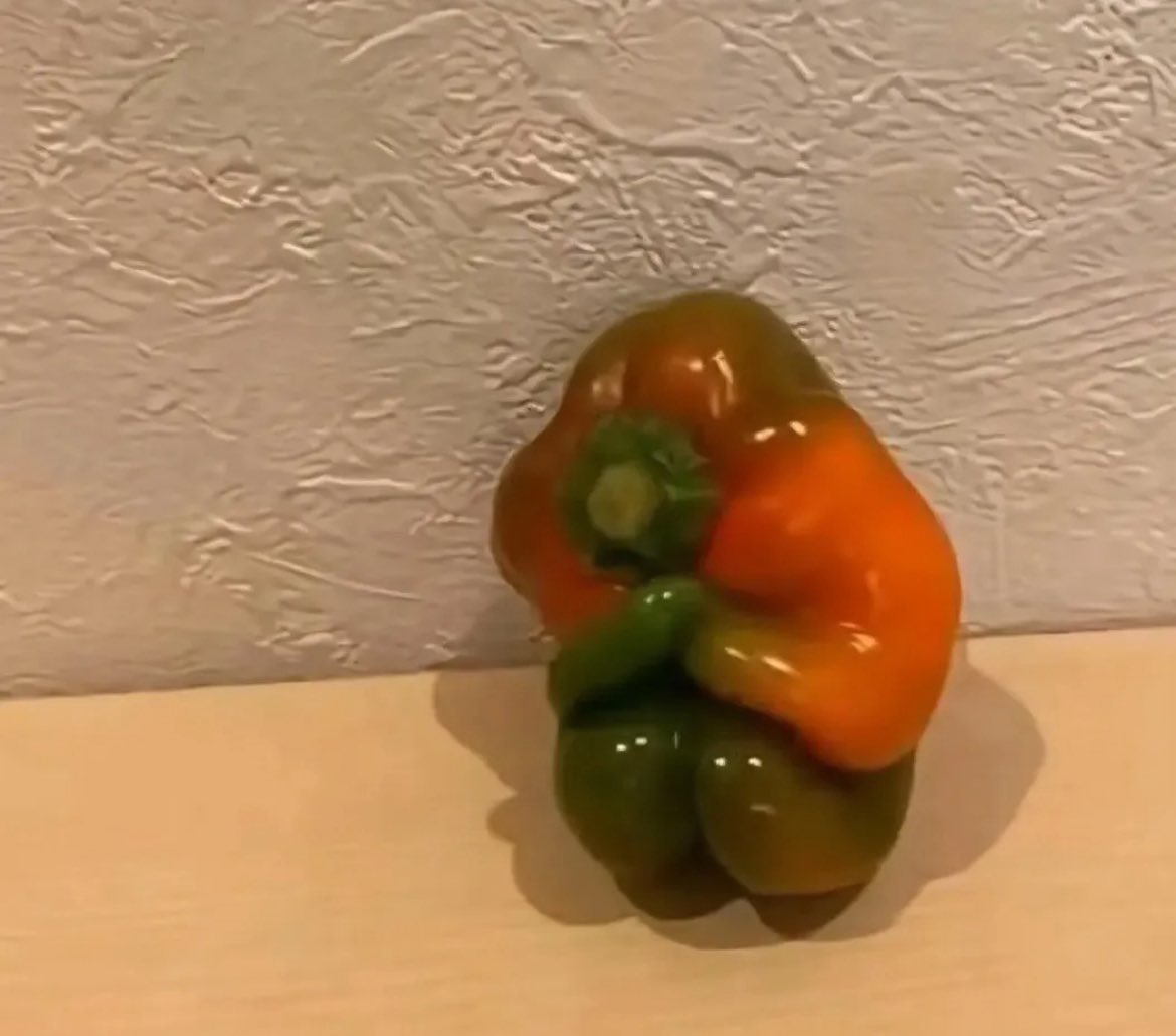 Lo iba a cocinar, pero antes quiero preguntarle qué le ha ocurrido.