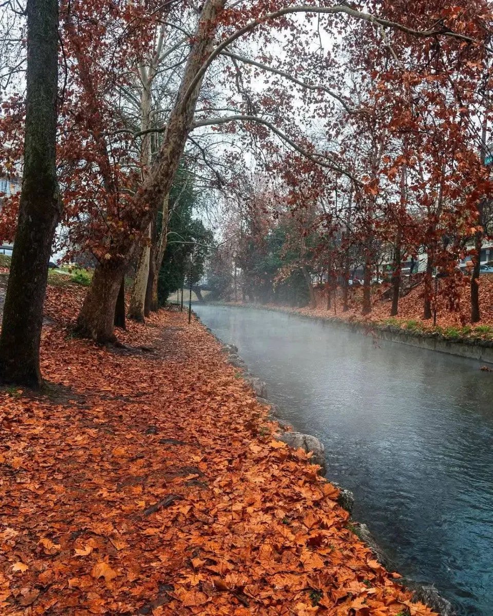 Καλή σας νύχτα! 
Τρίκαλα! 🇬🇷🩵🇬🇷