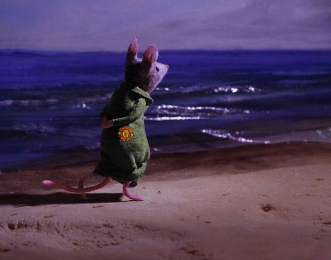 Brighton and Sunderland beat chelsea, Manchester United beat the 3 of them.😂🙌🏾