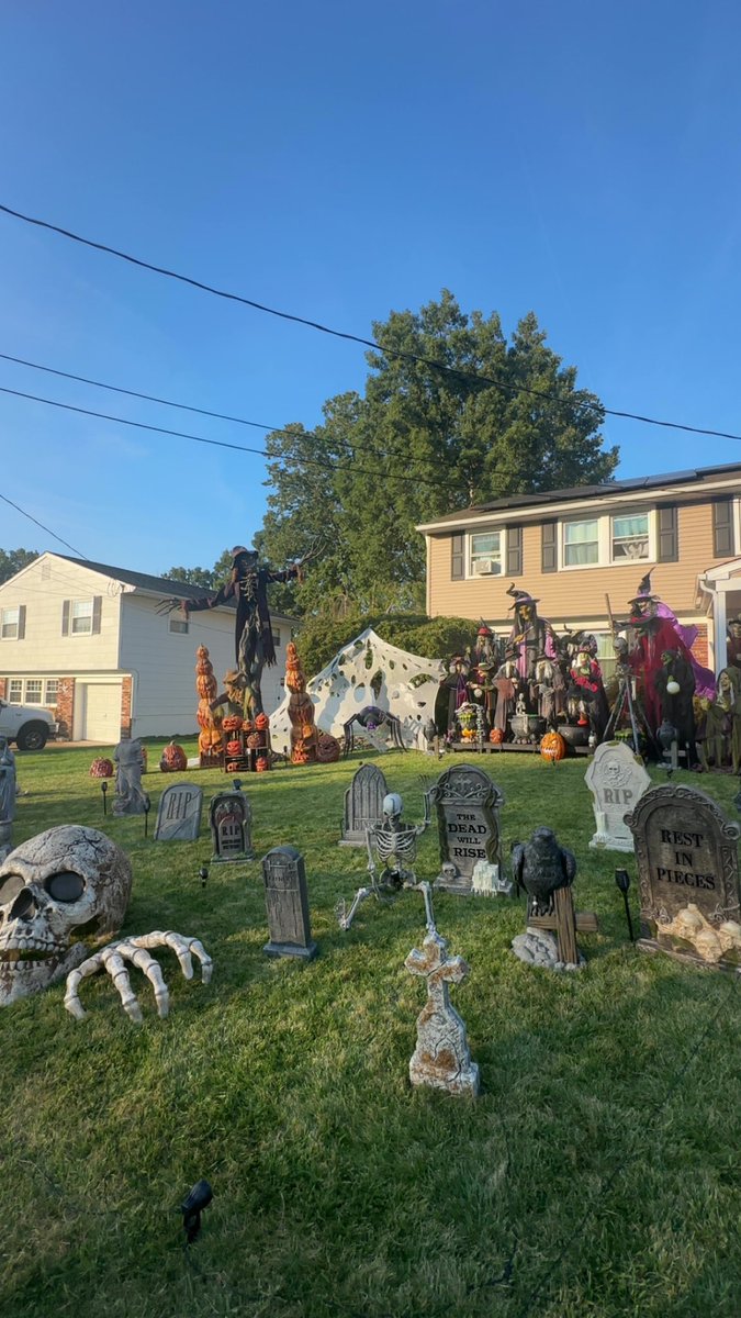 Bizim bi komsu da guzel yapmis