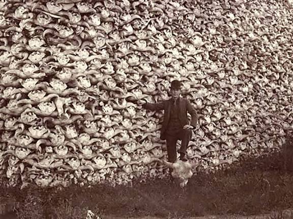 Shadoo_creeture's tweet image. "only us white people care so much about animals"