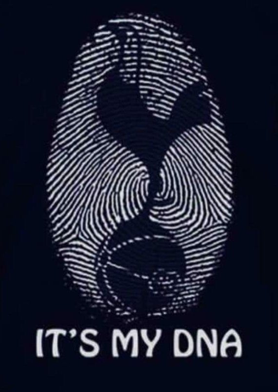 Nick Davison (@nick_davison10) on Twitter photo 🤍 🤍