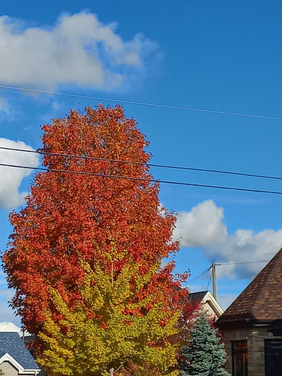 Dans mon voisinage 🧡
📸