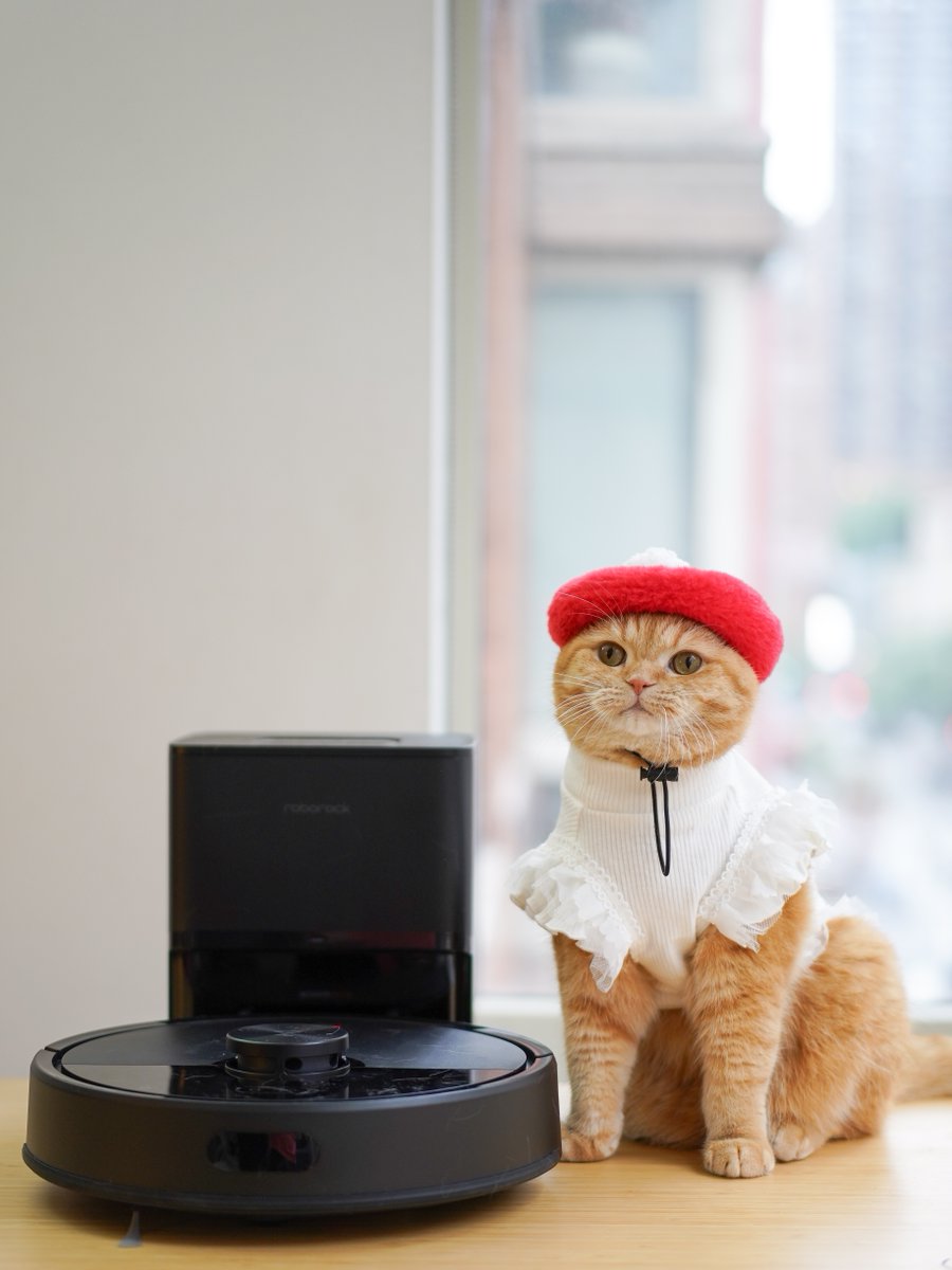 Roborock (@roborockglobal) on Twitter photo How are you celebrating Halloween this year? We suggest finding the purr-fect costume, while Rocky goes on a dust hunting adventure. 😻🎃
📸 IG: spongecake_thescottishfold
#Roborock #SpongeCakeCats How are you celebrating Halloween this year? We suggest finding the purr-fect costume, while Rocky goes on a dust hunting adventure. 😻🎃
📸 IG: spongecake_thescottishfold
#Roborock #SpongeCakeCats