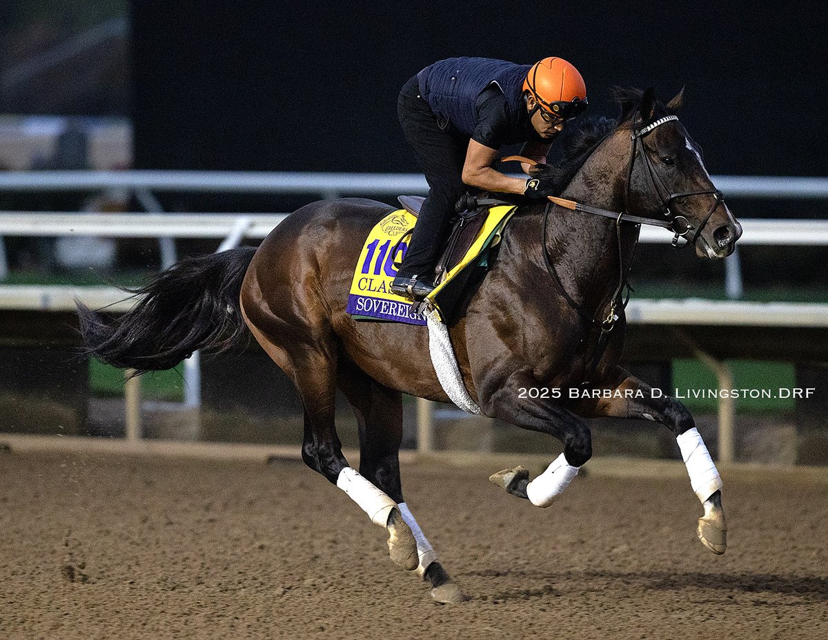 DRFLivingston's tweet photo. Breeders' Cup Classic contender SOVEREIGNTY at Del Mar this morning https://t.co/9BSyNkrXvP