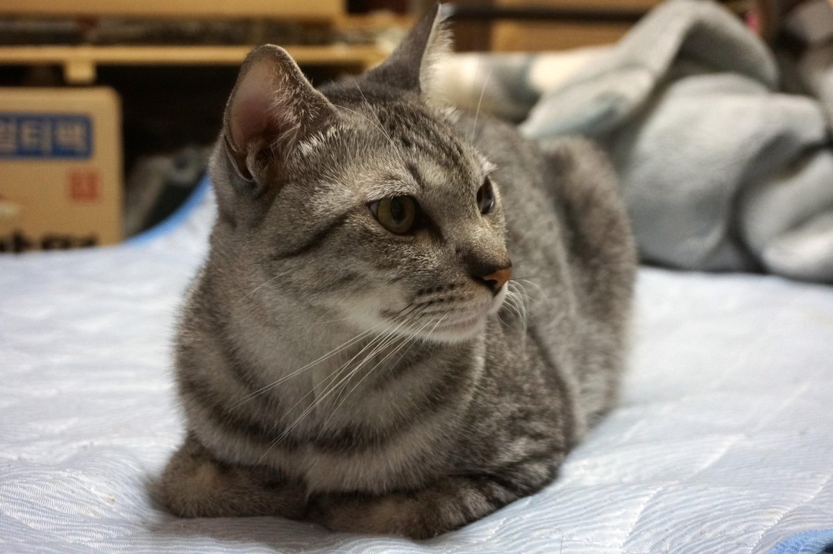 Mako｜お気軽にコメントください⭐︎！ マコ on X