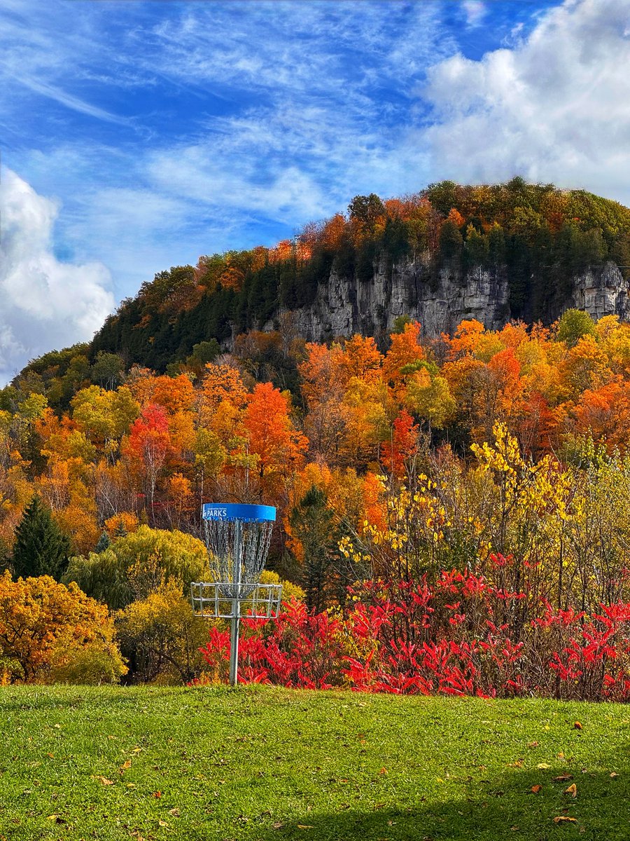 Fall disc golf is best disc golf

@ Kelso Conservation Area for the Ontario Provincial Championships