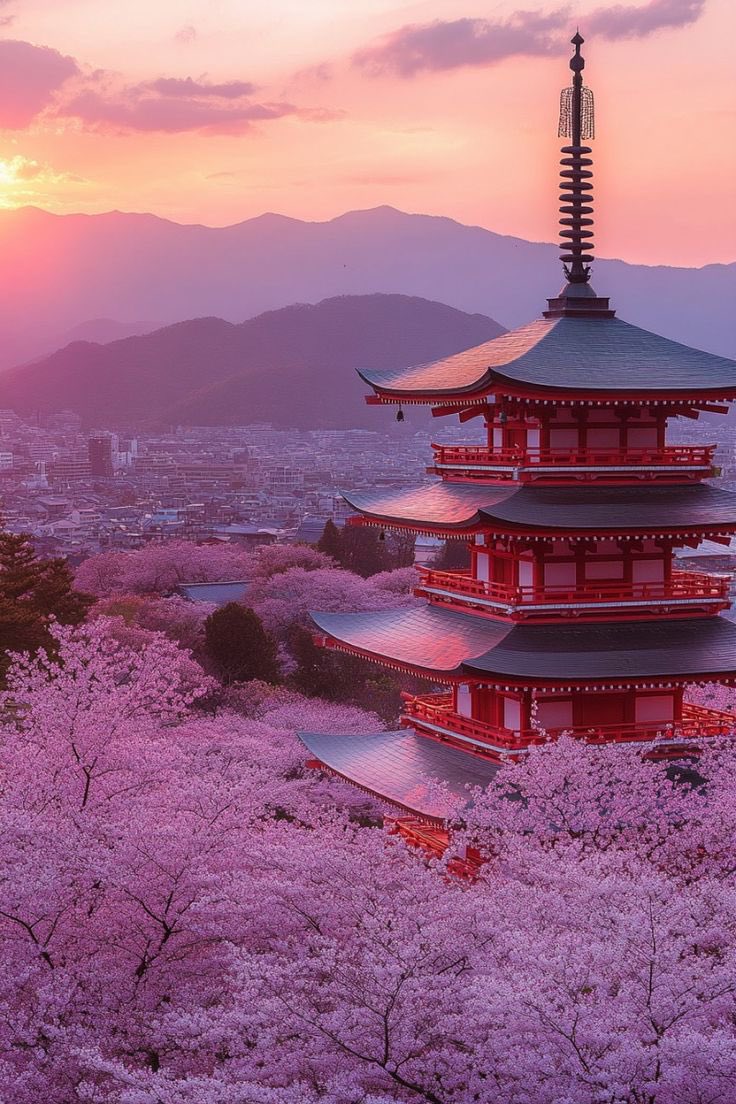 Jeanette (@jeanetteeliz) on Twitter photo Good Evening Everyone 💞🌸💕 Good Evening Everyone 💞🌸💕