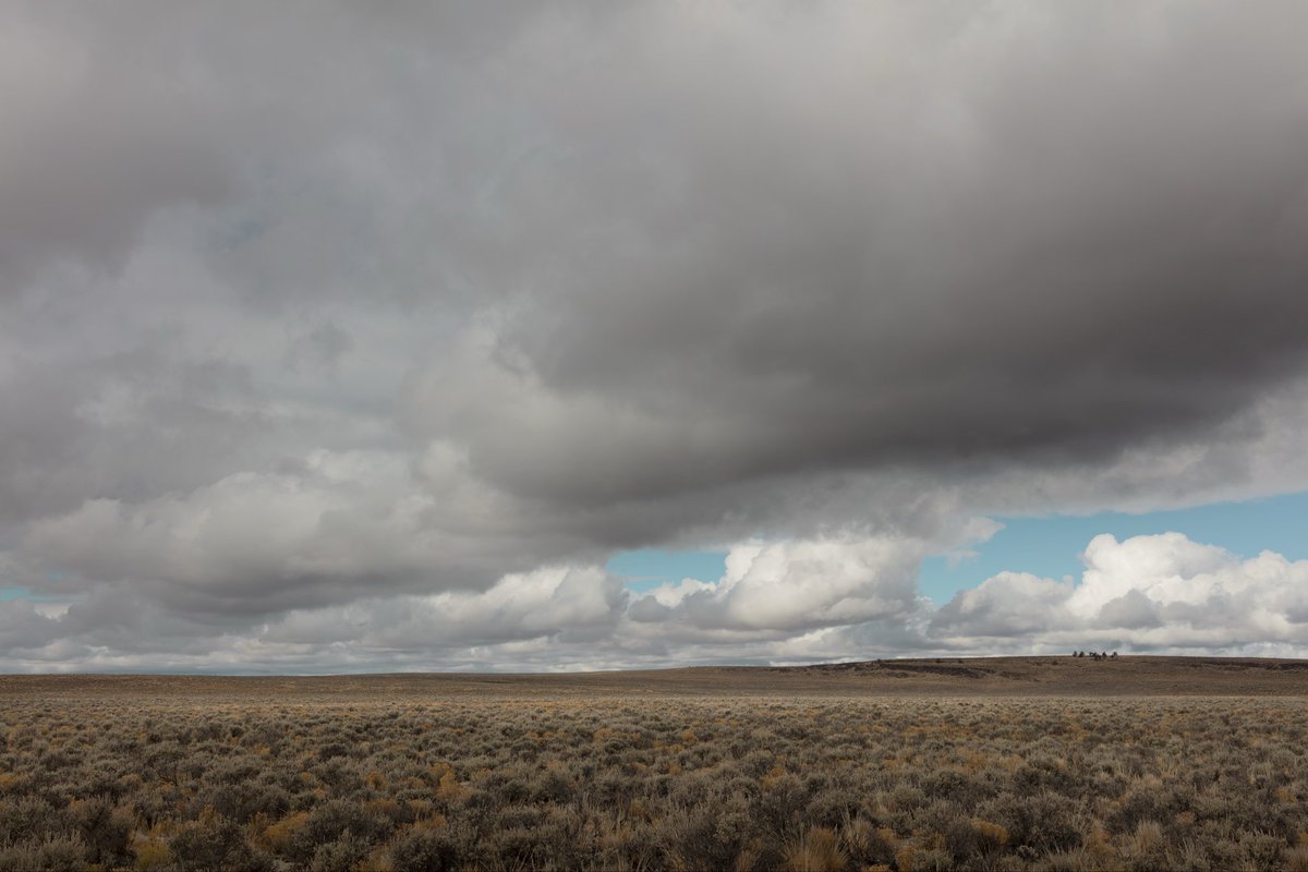 Perhaps landscapes that resonate are subconscious, deep in our DNA sort of images. There are no characters or story, just forms.