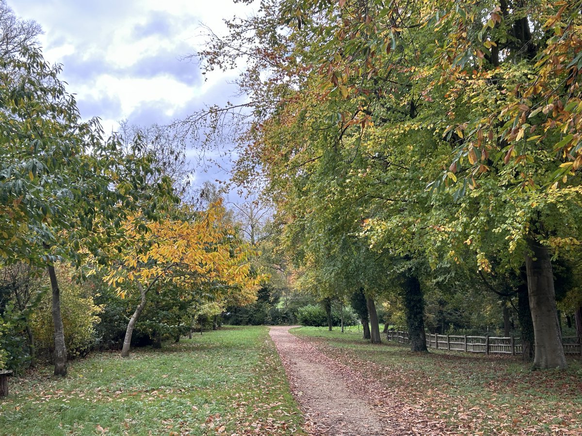 ColinGlover2's tweet photo. A wonderful range of colours on today’s autumnal ramble. https://t.co/10O6RlToNy
