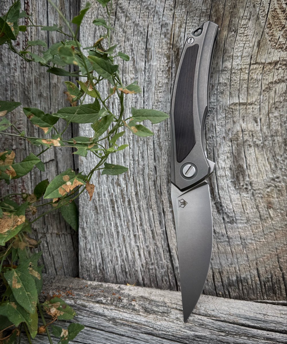 EduNainM's tweet image. Shirogorov Quantum - Cromax PM steel 

#knivesout #edc #gear #everydaycarry #pocketknife