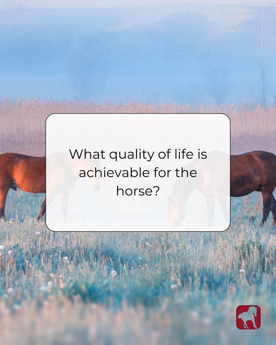 HORSEJournals.com tweet media