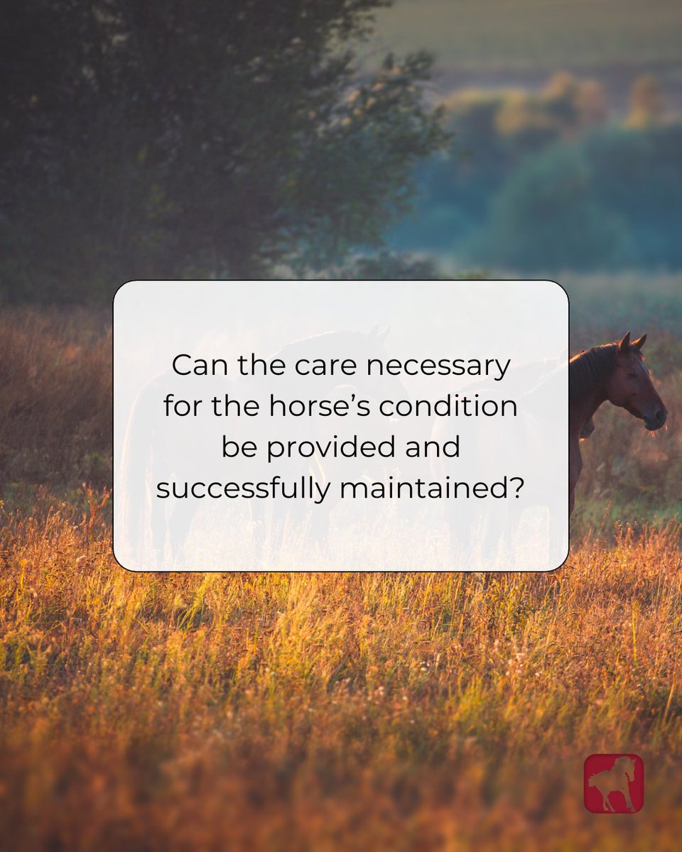 HORSEJournals.com tweet media