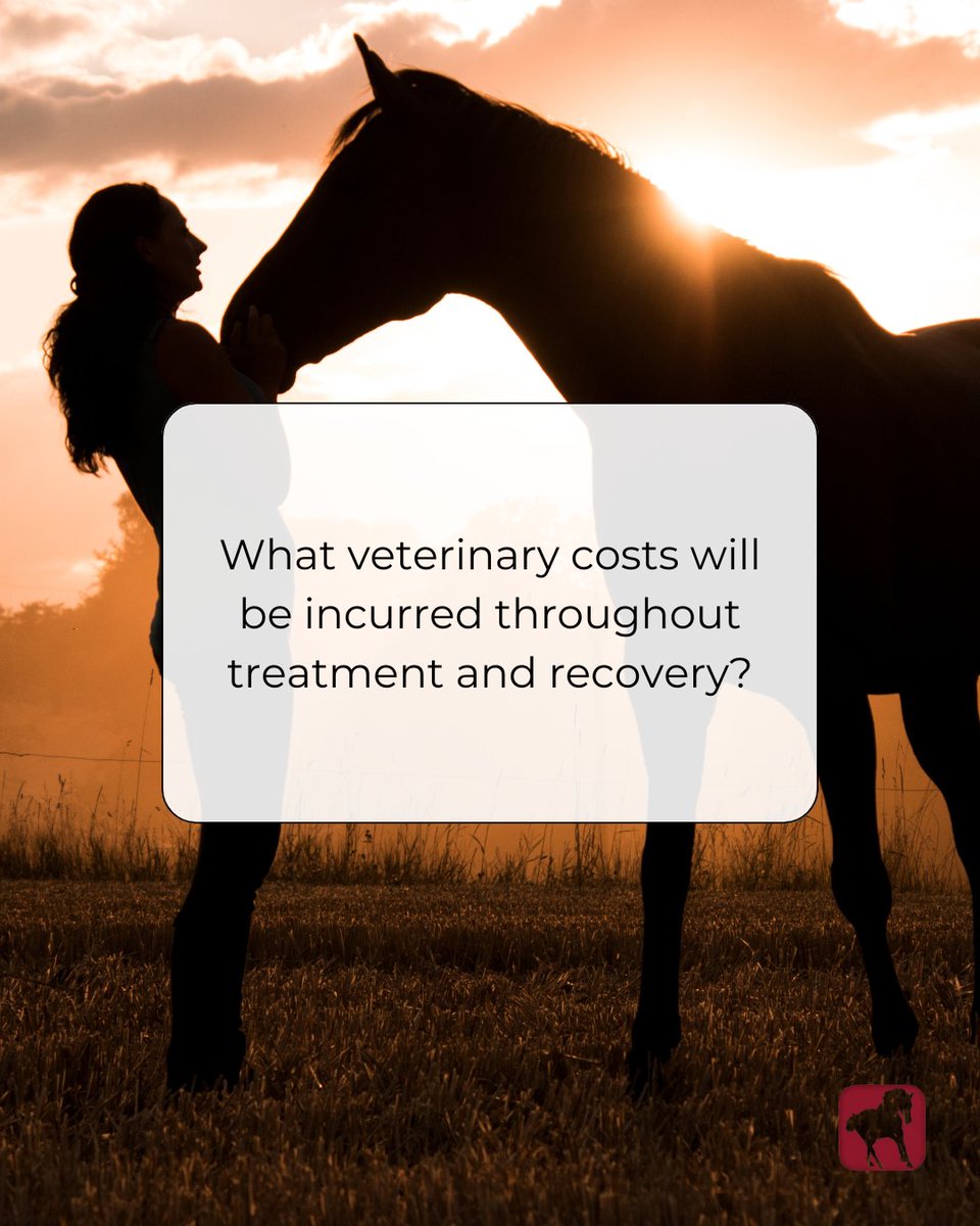 In an ideal world, every senior horse would pass away naturally and peacefully. Unfortunately, this is not always the case, which is why we must be prepared.

Read the full article from Equine Guelph here 🔗 horsejournals.com/horse-care/ill…