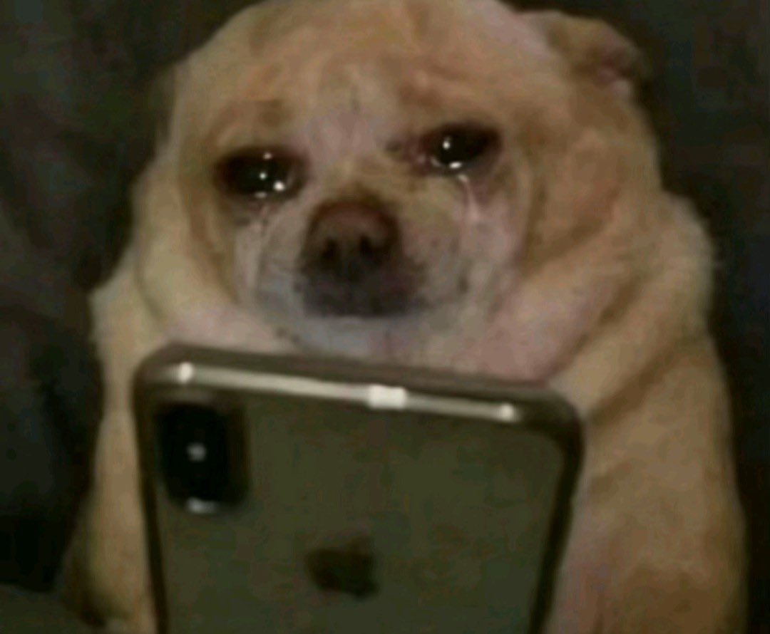 Just realized I left my FULL Tub of Bao Berry Gamersupps and cup in California, brb gonna go cry ;^;