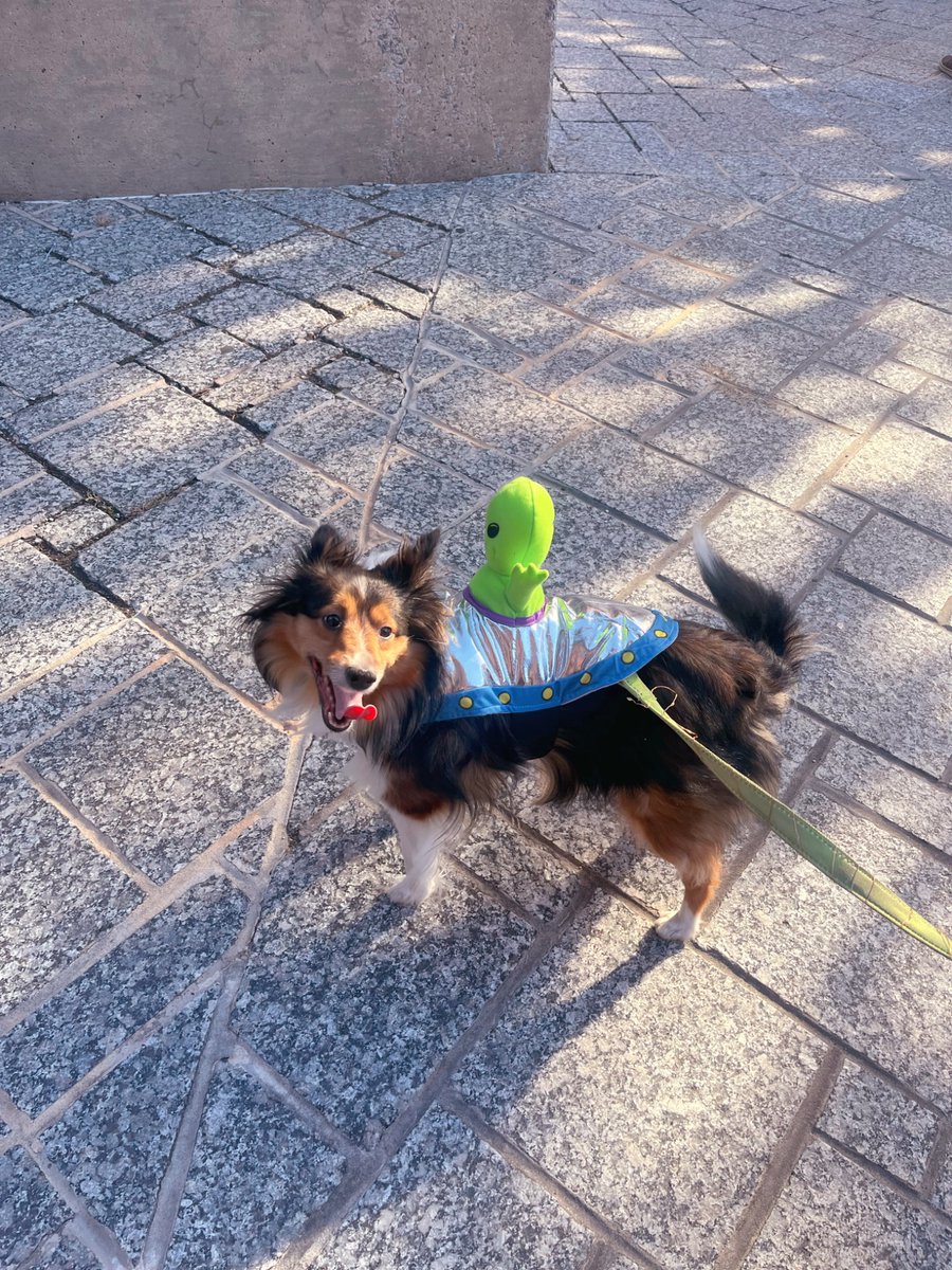 sarah with an h 🤠 tweet media