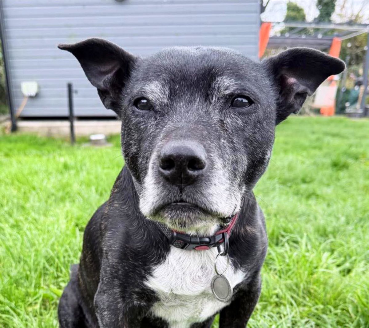 RPD2025STELLA's tweet image. A late #StaffieSaturday post have a great weekend everyone ❤️