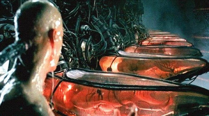 The orange pill doesn’t just open your eyes to Bitcoin.

It opens your eyes to how asleep the world really is.