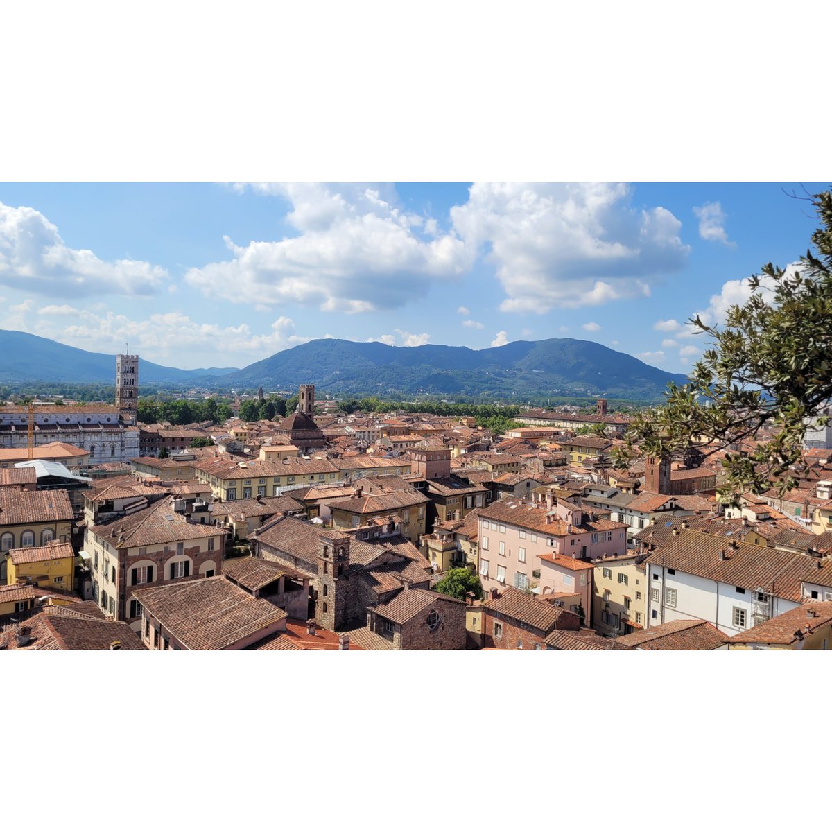 Juki_W's tweet image. Lucca, Italia 🇮🇹⛪️🍝🥪🍦

Julaayy.blogspot.com/2025/10/lucca.…

#blog #blogger #fblog #fblogger #Italy #italia #tuscany #florence #Firenze #lucca #gelato #holiday #travels #citybreak #tourists #luccacathedral #italianfood #tordelli #piazzadellanfiteatro