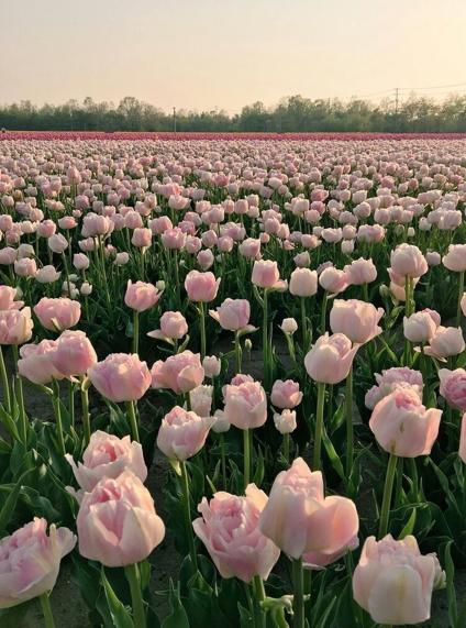 月曜日朝のメモ：雪／だるい。休憩する→メモ整理する。マイペースで。