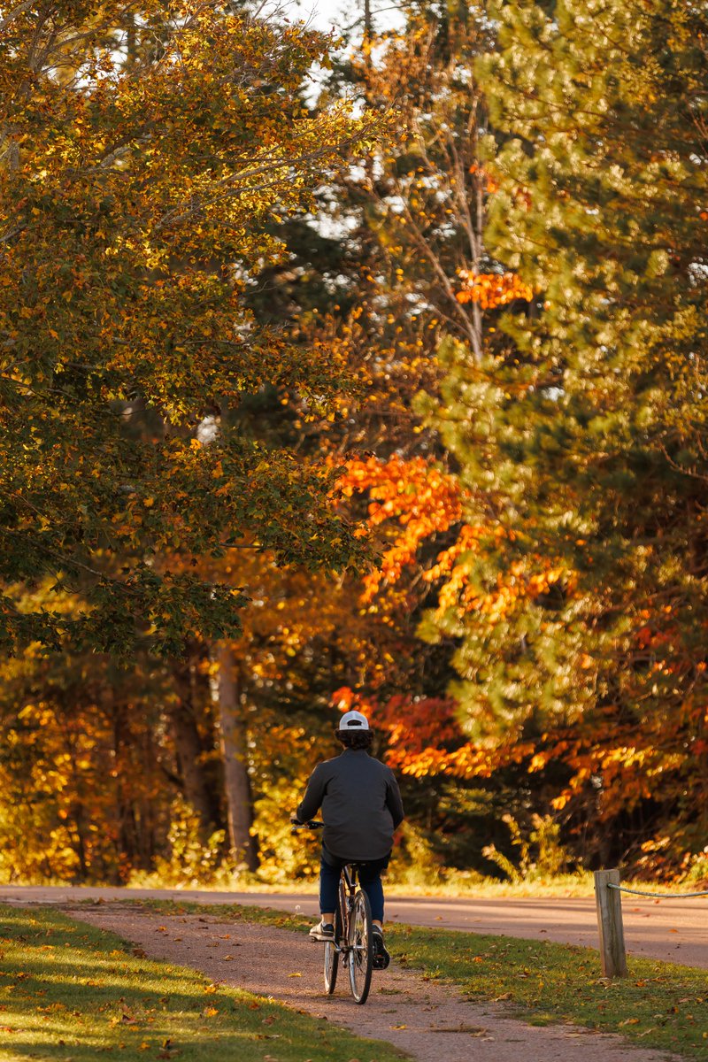 Found your perfect fall escape…
It was hiding up west at Mill River. 🍂