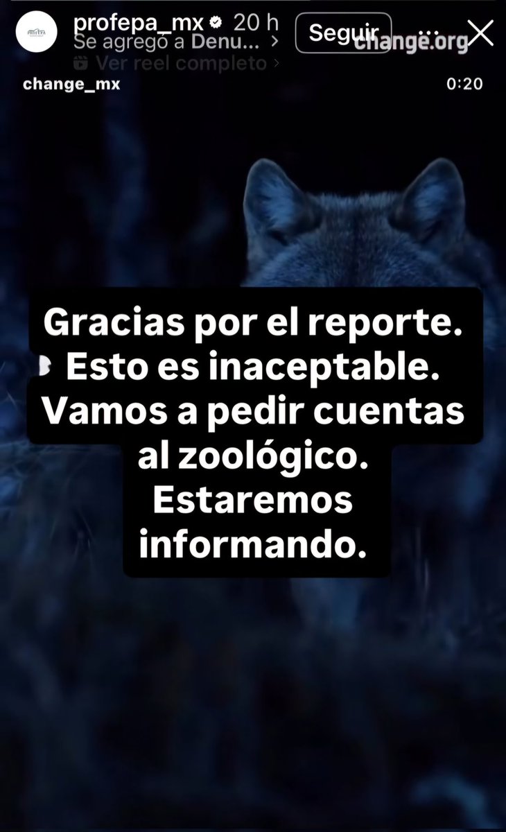 Manifiestamos profunda preocupación ante la falta de profesionalismo, seriedad y responsabilidad con que la <a href="/PROFEPA_Mx/">PROFEPA</a> ha manejado la reciente polémica relacionada con los eventos y recorridos de Halloween organizados en algunos zoológicos del país, particularmente en <a href="/zooleon/">Zooleon</a>