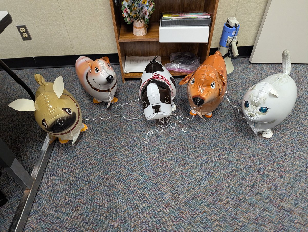 Kari Bruhn tweet media